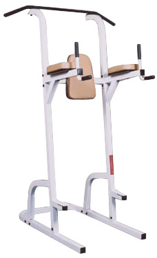 Quality Fitness by Maximus MX-378 Chin-Up Knee Raise and Dip Station