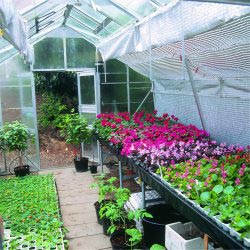 Juliana Gardener 7200 Greenhouse