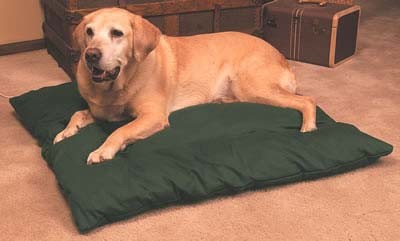 Important Suggestions On Teaching Your Dog for Bird Hunting Steadiness In the Field k and h manufacturing thermo dog bed medium size 0 0 Important Suggestions On Teaching Your Dog for Bird Hunting Steadiness In the Field