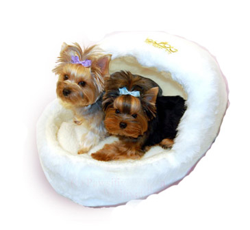 Pawsitively Posh Slipper Bed and Crinkle Newspaper Toy Dog Bed - Fast FREE FedEx Shipping!