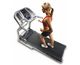 Bowflex-Series-7-Treadmill_2_80x65.jpg