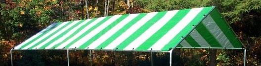 Harpster 10 x 20 ft Canopy Replacement Tarp