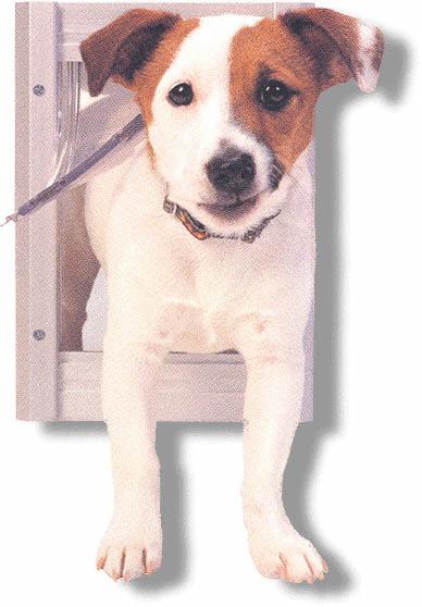 Petsafe Classic Pet Door - Fast FREE FedEx Shipping!