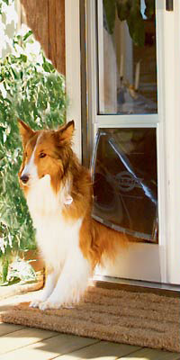 Petsafe Deluxe Patio Panel Pet Door - Fast FREE FedEx Shipping!