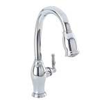 Newport Brass Pull Down Traditional Kitchen Faucet