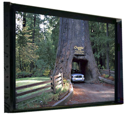 Draper Signature or Series E AV Format Electric Projector Screen
