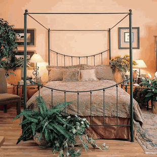 Stone County Knot Canopy Bed Best Price