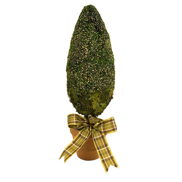ARTEflorum Mossed Cone Topiary Set