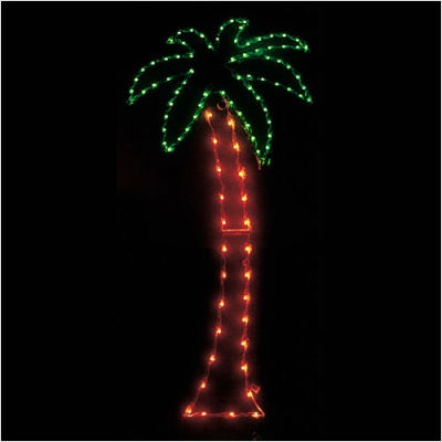 Small Palm Tree