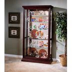 Locking Door  Curio Cabinets