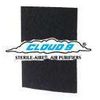 Cloud 9 Activated Charcoal Filter - 2 Package